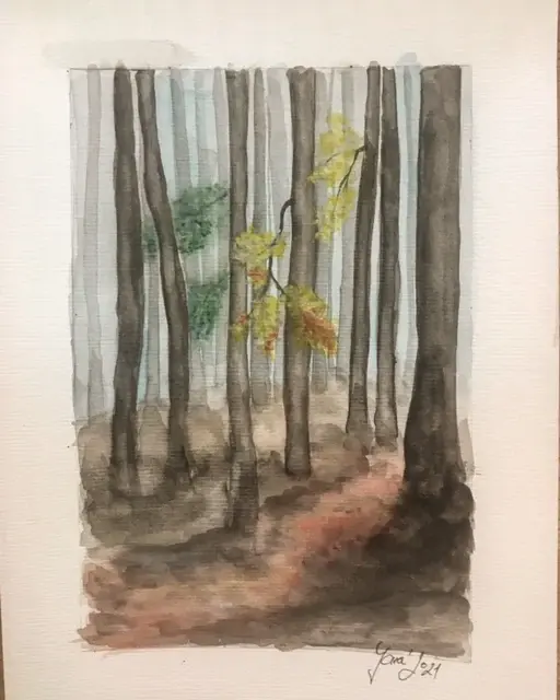 14.